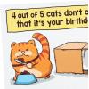 Hallmark Shoebox Funny Birthday Card (Cats Don’t Care)(Yellow)