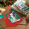 Hallmark Shoebox Funny Boxed Christmas Cards (24 Cards and 24 Envelopes) Dog, Cat, Llama, Reindeer