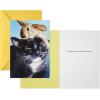 Hallmark Shoebox Funny Easter Cards Assortment, 5 Cards with Envelopes (Cats, Chicken, Snakes, Easter Bunny)(6 Cards  Shoebox)