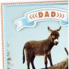 Hallmark Shoebox Funny Father’s Day Card (Nacho Average Card)(Father’s Day  Little Pain in the A)