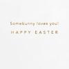 Hallmark Signature Easter Card with Bunny Ears Headband (Somebunny Loves You) for Kids, Grandchildren, Niece(Bunny Ears Headband)