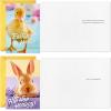 Hallmark Signature Easter Card with Felt Finger Puppets (Bunny, Chick, Lamb) for Kids, Grandchildren, Easter Baskets(Easter Bunnies and Chicks)