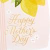 Hallmark Signature Mother’s Day Cards, Pack of 4 (Moms Do It All) for Mom, Stepmom, Aunt, Sister, Grandma, Bonus Mom, Friend(Happiest Moments)