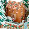 Hallmark Signature Paper Wonder Pop Up Christmas Card (Gingerbread)(Gingerbread House Scene Pop Up)