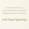 Hallmark Sympathy Card (Spirit Lives On) (5RZB2131)(Love Sees Us Through)