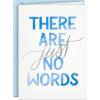 Hallmark Sympathy Greeting Card (For You and Your Family)(White  Blue)