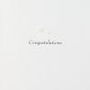 Hallmark Wedding Card, Bridal Shower Card (Wishing You Happiness in Your Marriage)(Champagne Flutes)