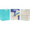 Hallmark 13″ Large Birthday Gift Bag Bundle (3 Bags: Rainbow Confetti Cake, Plaid, Solid Teal Blue)(Bag Bundle)