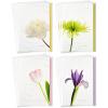 Hallmark Assorted Sympathy Cards (Flowers, 12 Cards and Envelopes)(Sympathy Cards)