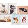 Hallmark Blank Cards Assortment, Dog and Cat Photos (36 Assorted Note Cards with Envelopes)(Multicolor/Assorted)