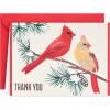 Hallmark Cardinal Thank You Notes (20 Cards with Envelopes) for Christmas, Holidays, Winter