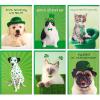 Hallmark Halloween Cards Assortment, Pet Puns (48 Cards with Envelopes)(St. Patrick’s Day Punny Pets Card Assortment)