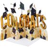 Hallmark Paper Wonder Graduation Pop Up Card (Accordion Fold Congrats)