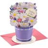 Hallmark Paper Wonder Mother’s Day Pop Up Card (Daisy Flower Bouquet) for Spring, Birthday, Thinking of You, Congrats, or Any Occasion(Pop Up  Displayable Daisy Bouquet)
