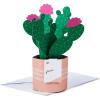 Pop Up  Potted Cactus