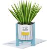 Hallmark Paper Wonder Mother’s Day Pop Up Card (Potted Spider Plant) for Nures Day, Admin Professional Day, Any Occasion