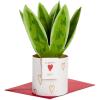 Hallmark Pop Up Love Card, Anniversary Card, or Birthday Card for Husband or Wife (Love You to the Moon and Back Signatuer Paper Wonder)(Pop Up  Snake Plant)