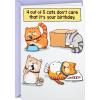 Hallmark Shoebox Funny Birthday Card (Cats Don’t Care)(Yellow)