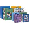 Hallmark Solid Gift Bag Assortment (8 Bags: 4 Medium 9″, 4 Large 13″) Blue, Green, Orange, Cheers, Stripes(Blue  Green  Orange)