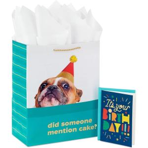 Hallmark 13″ Large Birthday Gift Bag with Tissue Paper and Birthday Card (Rainbow Stripes) for Kids, Adults, Coworkers(Did Someone Mention Cake?)