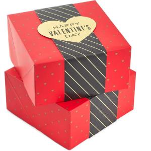 Hallmark 13″ Large Valentine’s Day Gift Bag with Tissue Paper (Red Watercolor Heart)(Red with Black Band)