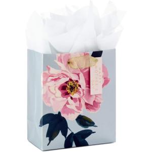 Hallmark 17″ Extra Large Mother’s Day Gift Bag with Tissue Paper (Red Roses, Green Foliage, Bright Blue) for Mom, Grandma, Nana, New Mother(Peony)
