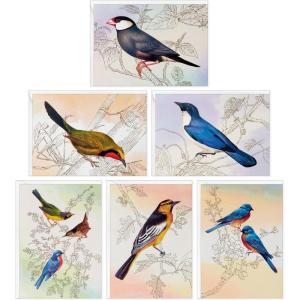 Hallmark Bird Note Card Assortment (24 Blank Cards with Envelopes) Bluebird, Mockingbird, Sparrow, Oriole, Warbler(Birds)