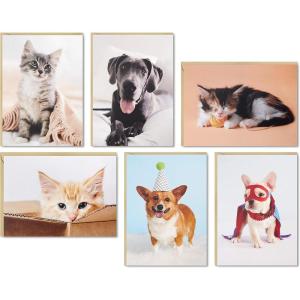 Hallmark Blank Cards Assortment, Dog and Cat Photos (36 Assorted Note Cards with Envelopes)(Multicolor/Assorted)