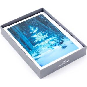 Hallmark Boxed Christmas Cards, Snowy Glowy Tree (16 Cards and Envelopes)(Peace)