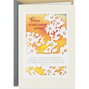 Hallmark DaySpring Religious Sympathy Card (God’s Comfort and Hope)(God’s Comfort and Hope)