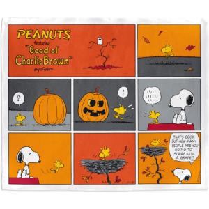 Hallmark Disney Hocus Pocus Blanket, 50″ x 60″ (Black Flame Candle)(Snoopy and Woodstock Comic)
