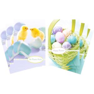 Hallmark Easter Cards Assortment, Easter Bunnies (8 Cards with Envelopes)(Easter Hello  6 Assorted Cards With Envelopes)
