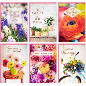 Hallmark Father’s Day Card Assortment (24 Cards with Envelopes, 6 Designs)(Mother’s Day Photography Card Assortment)