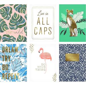 Hallmark Framable Postcards, Colorful Prints (6 Flat Panel Blank Cards) Flamingo, Cheetah, Monstera Leaves