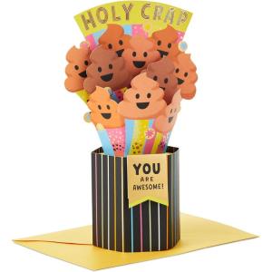 Hallmark Funny Pop Up Birthday Card (Hot Dog Bouquet) Paper Wonder Shoebox 3D Card(Holy Crap  “You are Awesome”)