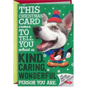 Hallmark Musical Christmas Card (Funny Christmas Cat)(Card Inside Card  Playful Dog)
