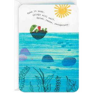 Hallmark Pack of 2 Get Well Soon, Encouragement Cards (Floating Turtle)(Floating Turtle)