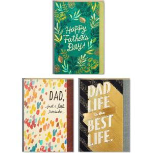 Hallmark Pack of 3 Assorted Fathers Day Cards (Wonderful Dads)(Father’s Day  Wonderful Dads)