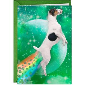 Hallmark Pack of Funny Easter Cards, Easter Egg Crack Joke (4 Cards with Envelopes)(Dog Tooting Rainbows)