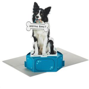 Hallmark Paper Wonder Funny Valentine’s Day Pop Up Card (Wanna Bone) Inappropriate, Dirty Card for Husband, Wife, Boyfriend, Girlfriend, Partner(Dog Treat)