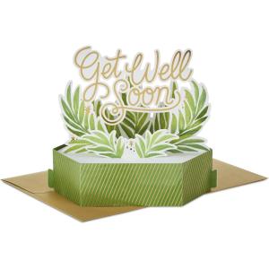 Hallmark Paper Wonder Get Well Soon Pop Up Card (Plants)