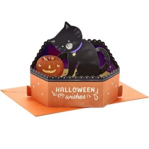 Hallmark Paper Wonder Halloween Pop Up Card (Cat and Pumpkin)(Cat and Pumpkin)