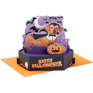 Hallmark Paper Wonder Halloween Pop Up Card (Cat and Pumpkin)(Happy Hallowiener)