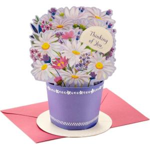 Hallmark Paper Wonder Mother’s Day Pop Up Card (Daisy Flower Bouquet) for Spring, Birthday, Thinking of You, Congrats, or Any Occasion(Pop Up  Displayable Daisy Bouquet)
