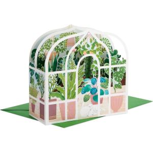 Hallmark Paper Wonder Mother’s Day Pop Up Card (Potted Cactus) for Birthday, Thinking of You, Congrats, Get Well, Appreciation, Any Occasion(Greenhouse Plants and Cats)
