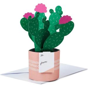 Hallmark Paper Wonder Mother’s Day Pop Up Card (Potted Cactus) for Birthday, Thinking of You, Congrats, Get Well, Appreciation, Any Occasion(Pop Up  Potted Cactus)