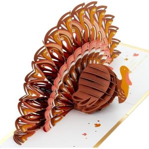 Hallmark Paper Wonder Pop Up Thanksgiving Card (Fall Bouquet) (699THJ2105)(Pop Up Turkey  Togetherness and Thankfulness)