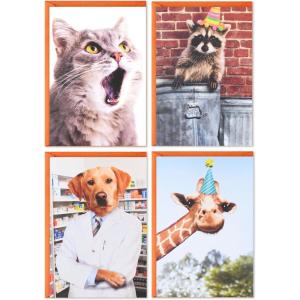 Hallmark Shoebox Funny Birthday Card Assortment (4 Cards with Envelopes) Cat, Dog, Giraffe, Raccoon