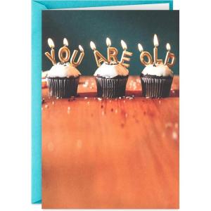 Hallmark Shoebox Funny Birthday Card (You Are Old)