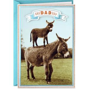 Hallmark Shoebox Funny Father’s Day Card (Nacho Average Card)(Father’s Day  Little Pain in the A)